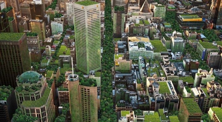 Rubber hoses for all layers of green roofs